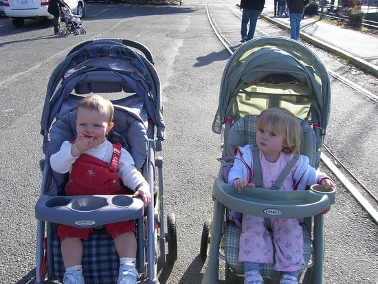 Strolling the streets. Strolling the streets.